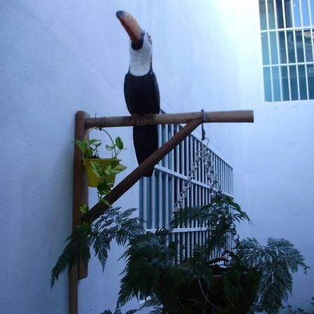 Aconchego dos Milagres São Miguel dos Milagres Exterior foto