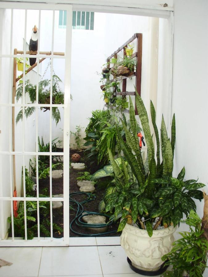 Aconchego dos Milagres São Miguel dos Milagres Exterior foto